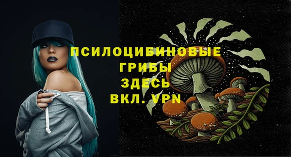 прущие грибы Нея