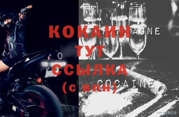 прущие грибы Нея