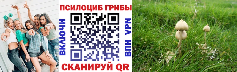 Галлюциногенные грибы мицелий  Власиха 